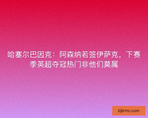 哈塞尔巴因克：阿森纳若签伊萨克，下赛季英超夺冠热门非他们莫属